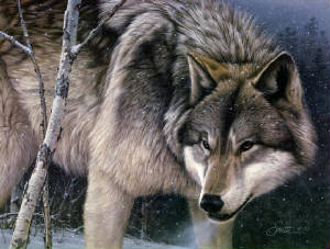 418201198nctijr_fs.jpg